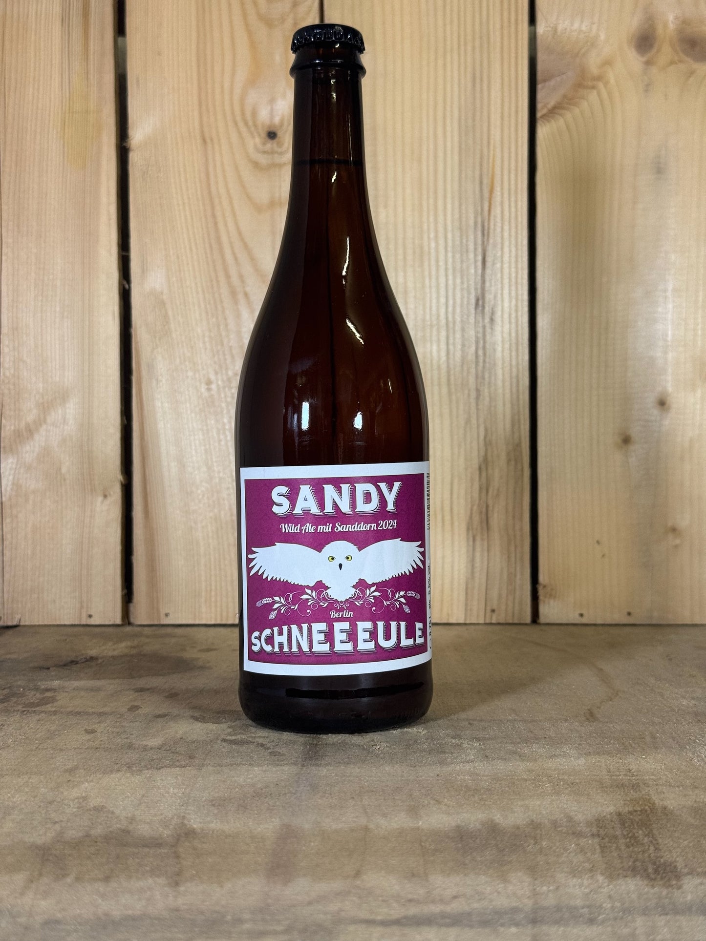 Sandy - Schneeeule
