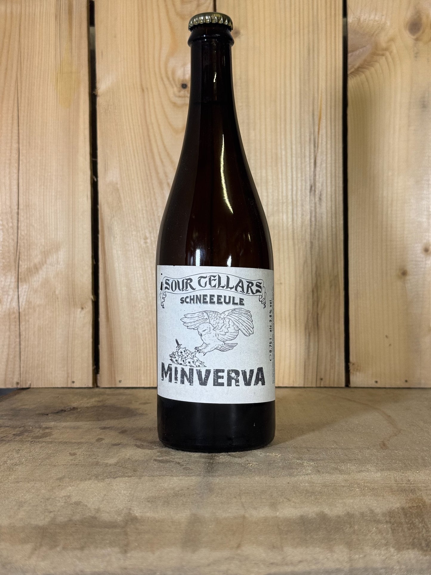 Minerva - Schneeeule